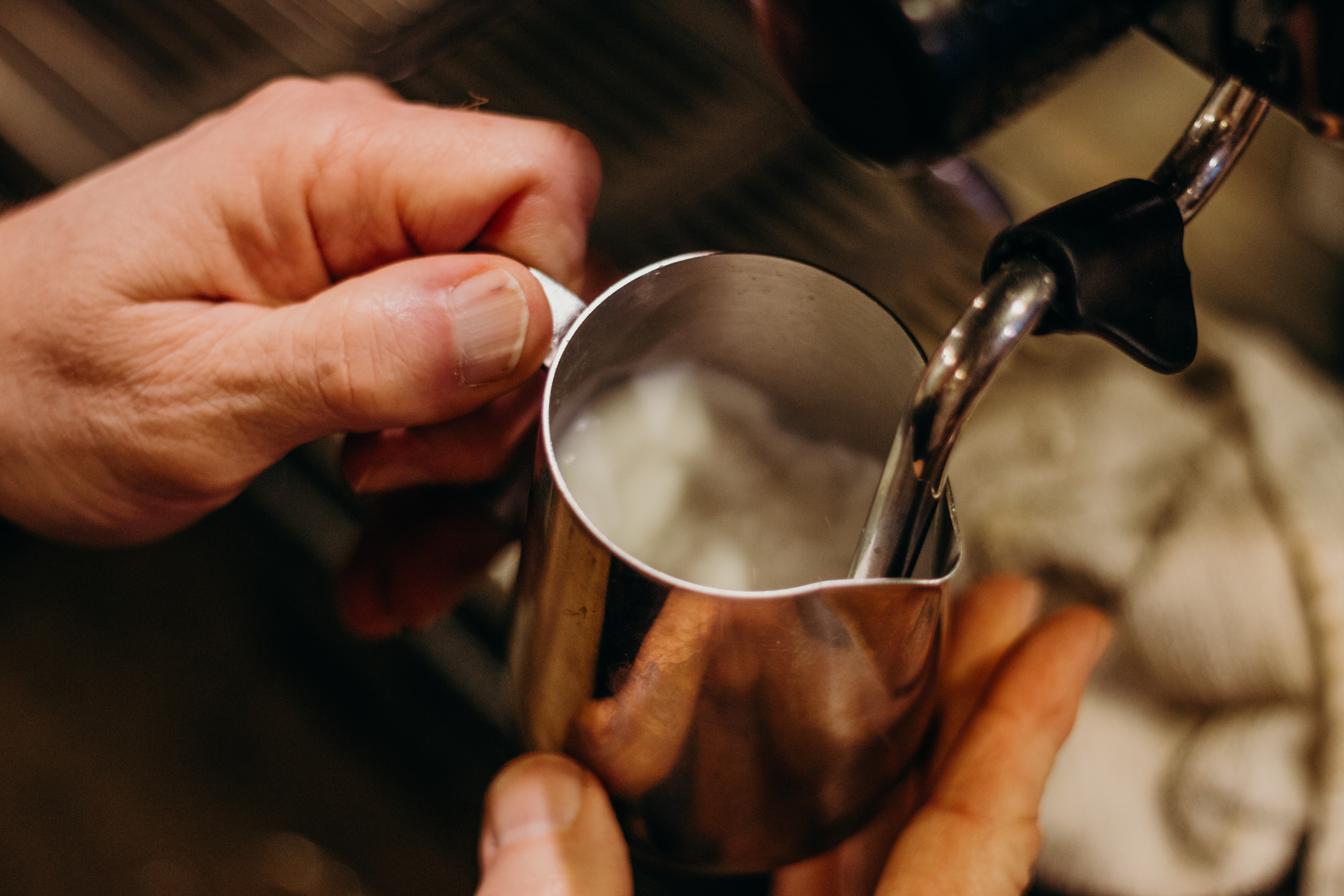 Milk in a pitcher being frothed by a steam wand.